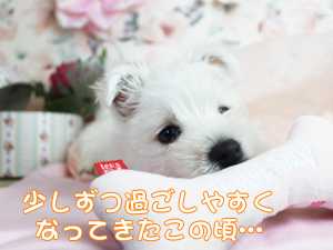 １０月になりました！